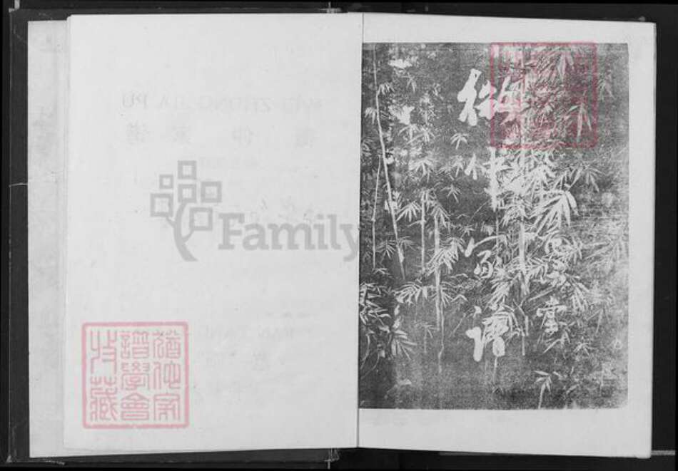 江西省吉安市吉水县邹氏范阳堂族谱-微仲家谱.pdf电子版预览图2