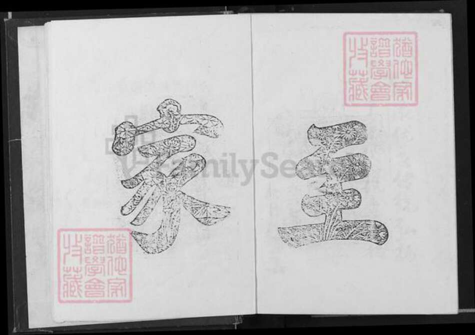 江西省吉安市吉水县邹氏范阳堂族谱-微仲家谱.pdf电子版预览图4