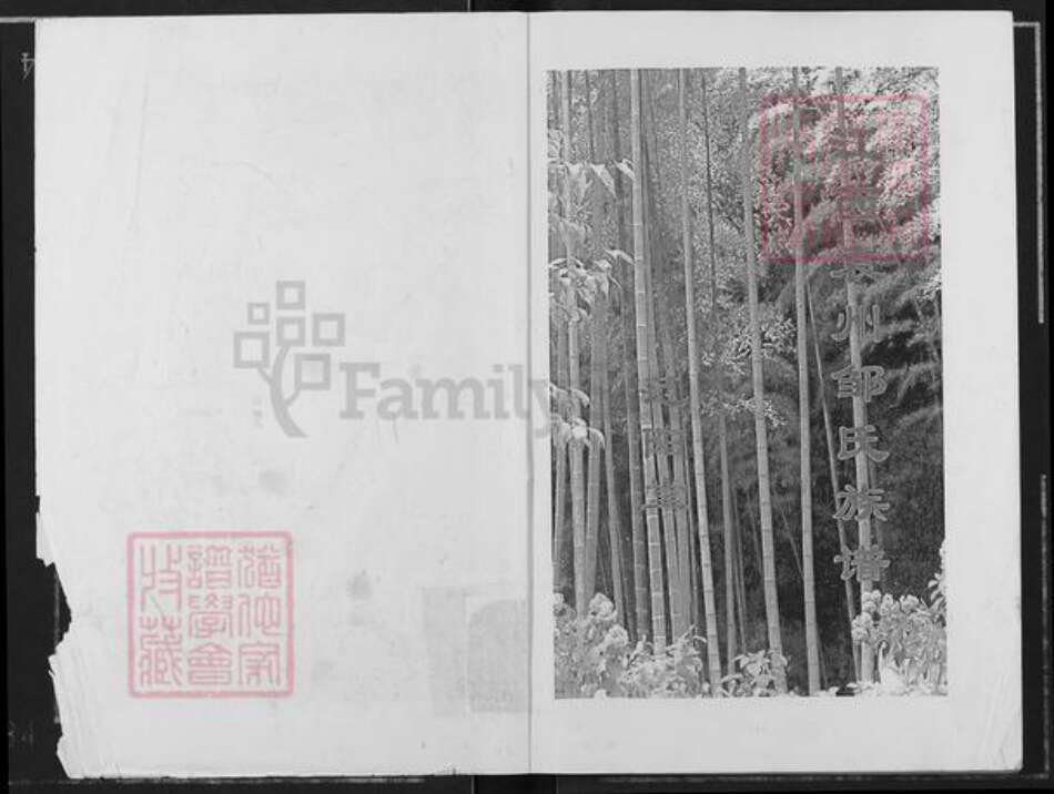 江西省宜春市袁州区邹氏范阳堂族谱-邹氏族谱.江西袁州.pdf电子版预览图1