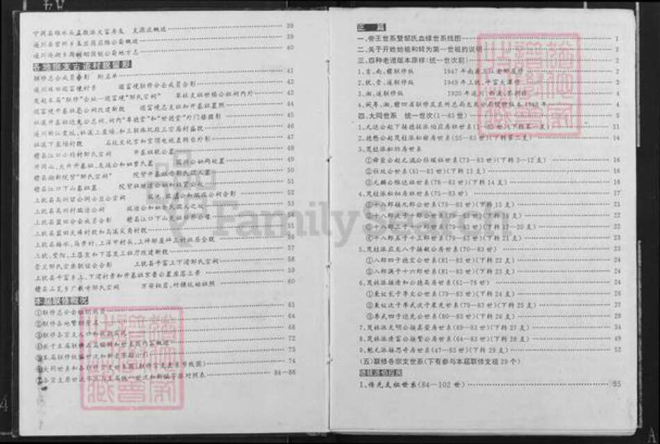 江西省赣州市信丰县大阿镇邹氏族谱-范阳.邹氏家谱史.pdf电子版预览图4