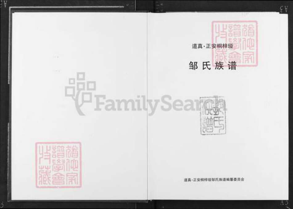 贵州省遵义市播州区邹氏族谱-邹氏家谱.pdf电子版预览图2