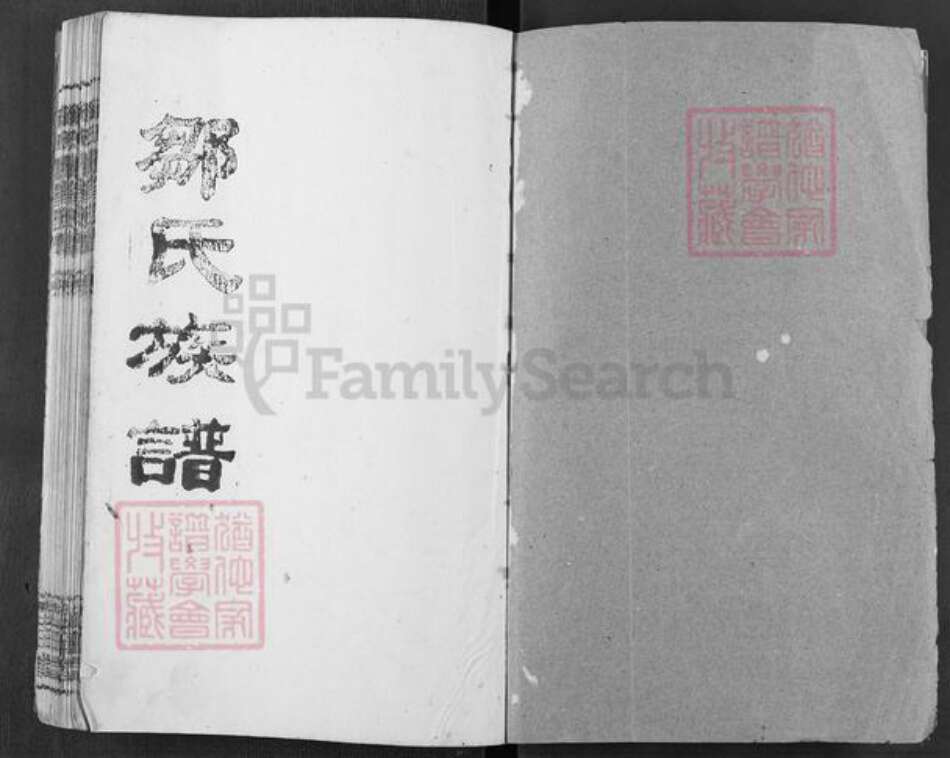 湖南省岳阳市邹氏范阳堂族谱-邹氏族谱.pdf电子版预览图1