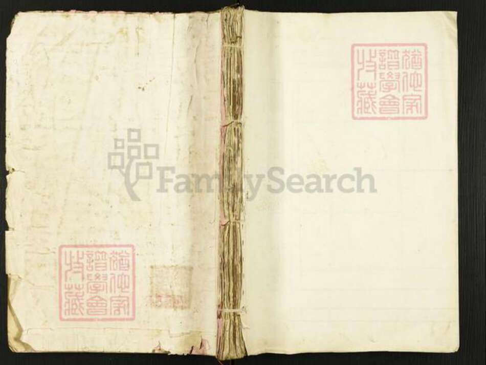 江西省宜春市袁州区邹氏光裕堂族谱-新坊邹氏家乘.pdf电子版缩略图