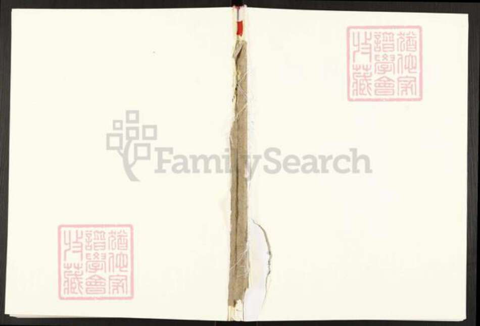 湖南省衡阳市常宁市邹氏知礼堂族谱-邹氏族谱.pdf电子版缩略图