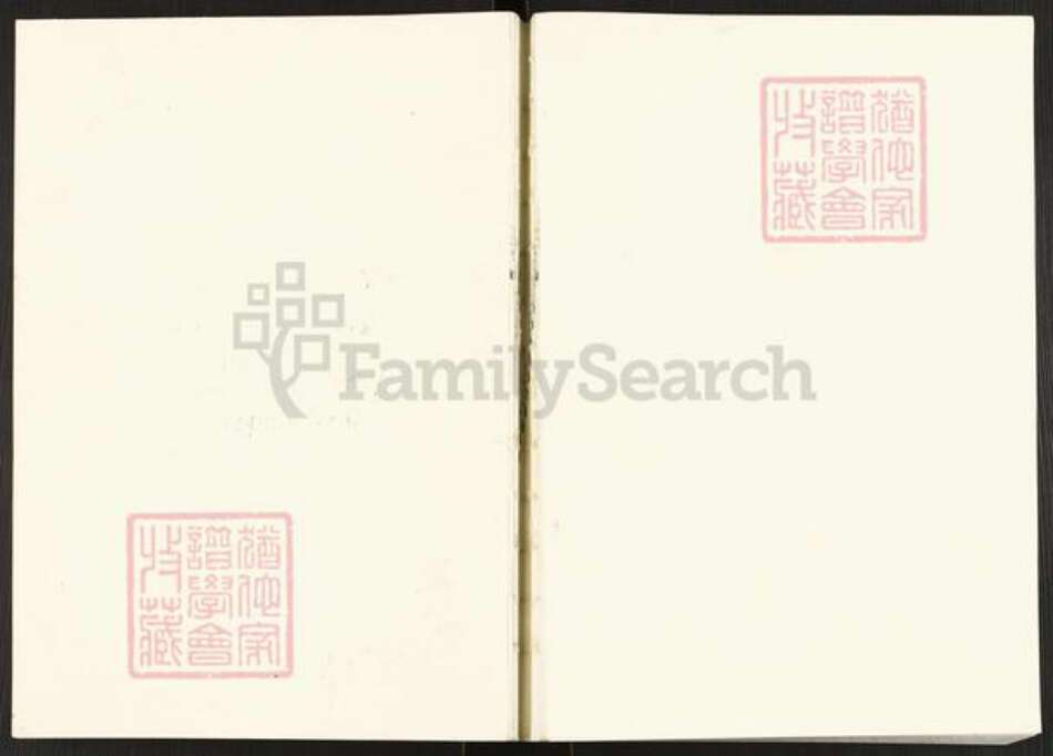 湖南省岳阳市临湘市临湘邹氏范阳堂族谱-磨石坳邹氏家谱.pdf电子版缩略图