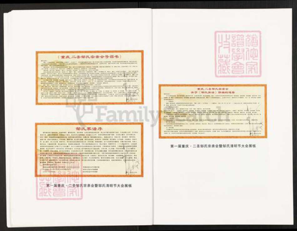 重庆市巴南区巴县二圣镇邹氏族谱-邹氏族谱.pdf电子版预览图5