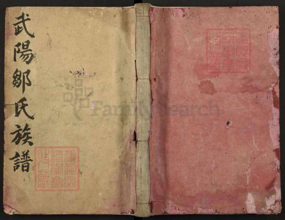 江西省赣州市瑞金市武阳镇邹氏族谱-瑞金武阳邹氏族谱.pdf电子版缩略图