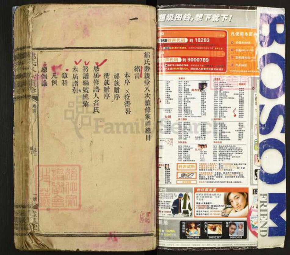 湖南省衡阳市衡阳县金兰镇邹氏睦亲堂族谱-邹氏八修续修.pdf电子版预览图1