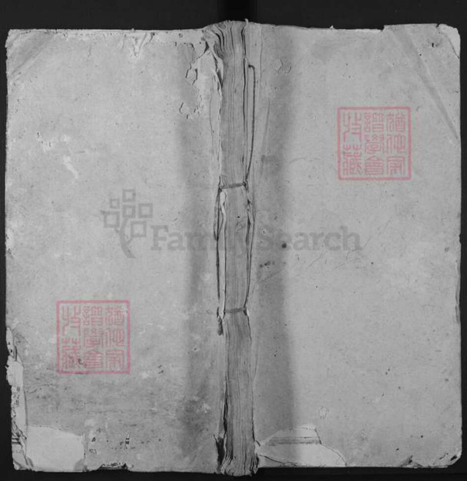 江西省九江市修水县新湾乡邹氏清源堂族谱-邹氏宗谱.pdf电子版缩略图