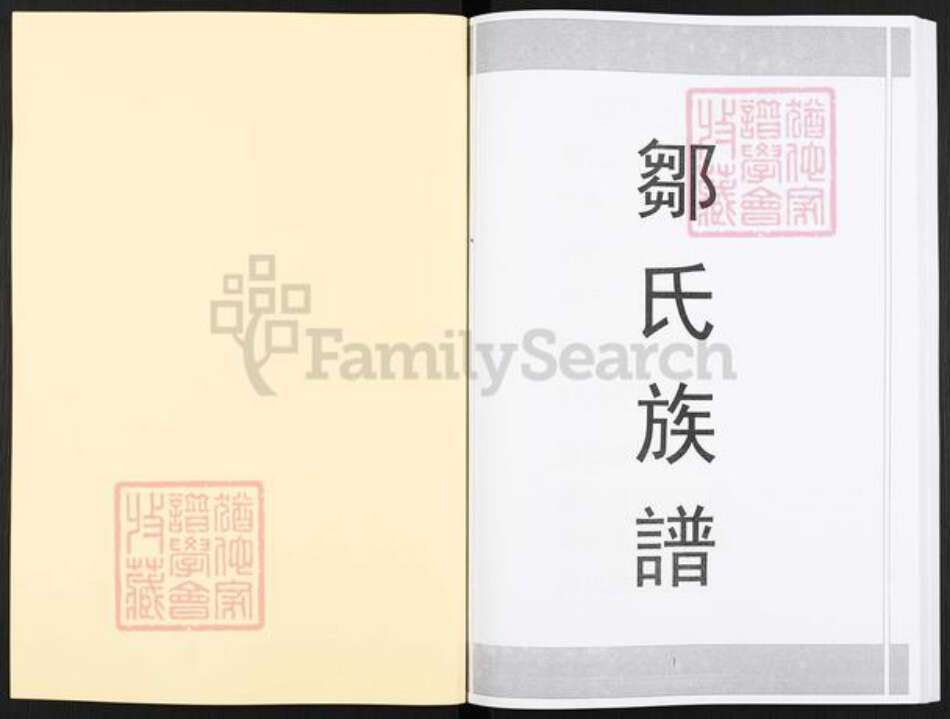 湖南省娄底市新化县洋溪镇邹氏范阳堂族谱-邹氏族谱.pdf电子版预览图1