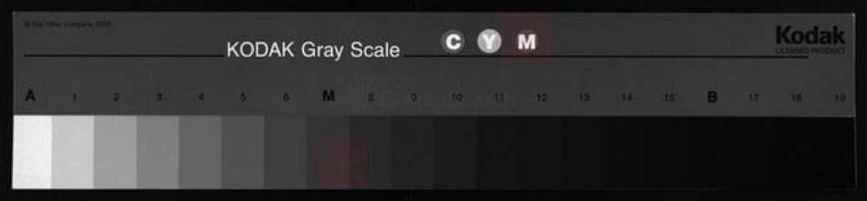 福建省福州市永泰县邹氏族谱-永泰长治邹氏族谱 [5篇].pdf电子版缩略图