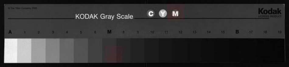 广东省汕头市揭阳县广西壮族自治区江西省邹氏族谱-邹氏联宗族谱.pdf电子版缩略图