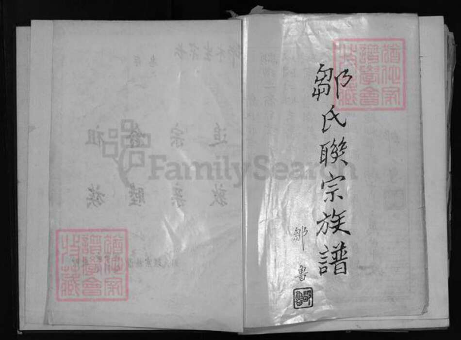 广东省汕头市揭阳县广西壮族自治区江西省邹氏族谱-邹氏联宗族谱.pdf电子版预览图3