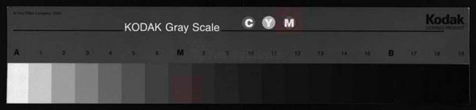 湖南省娄底市新化县湖南省湘潭市湘乡市湘乡邹氏族谱-邹氏三修族谱 [存卷首上].pdf电子版缩略图