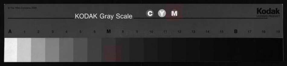 湖北省江西省邹氏族谱-邹氏史志.pdf电子版缩略图