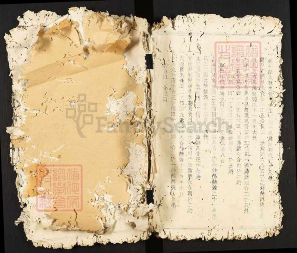 江西省南昌市南昌县武阳镇邹氏族谱-瑞金武阳邹氏族谱.pdf电子版缩略图