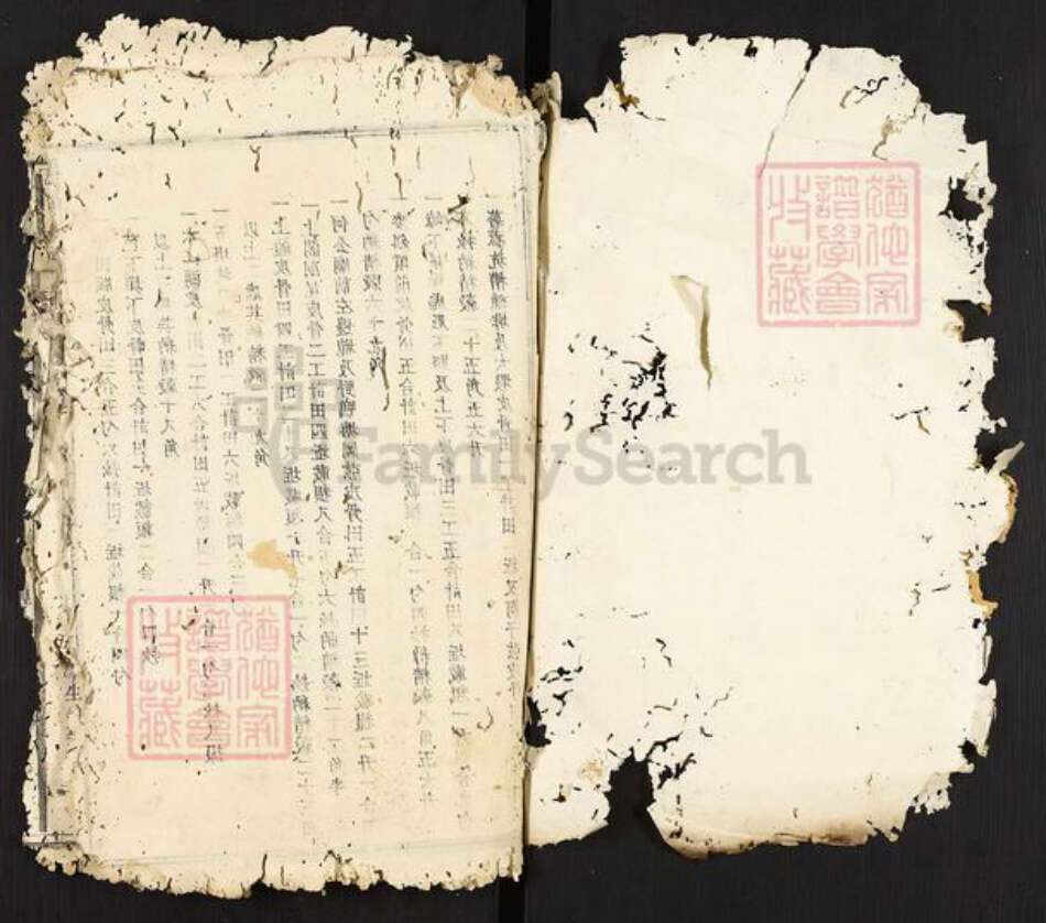 江西省南昌市南昌县武阳镇邹氏族谱-瑞金武阳邹氏族谱.pdf电子版预览图1