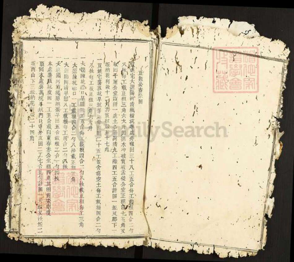 江西省南昌市南昌县武阳镇邹氏族谱-瑞金武阳邹氏族谱.pdf电子版预览图3