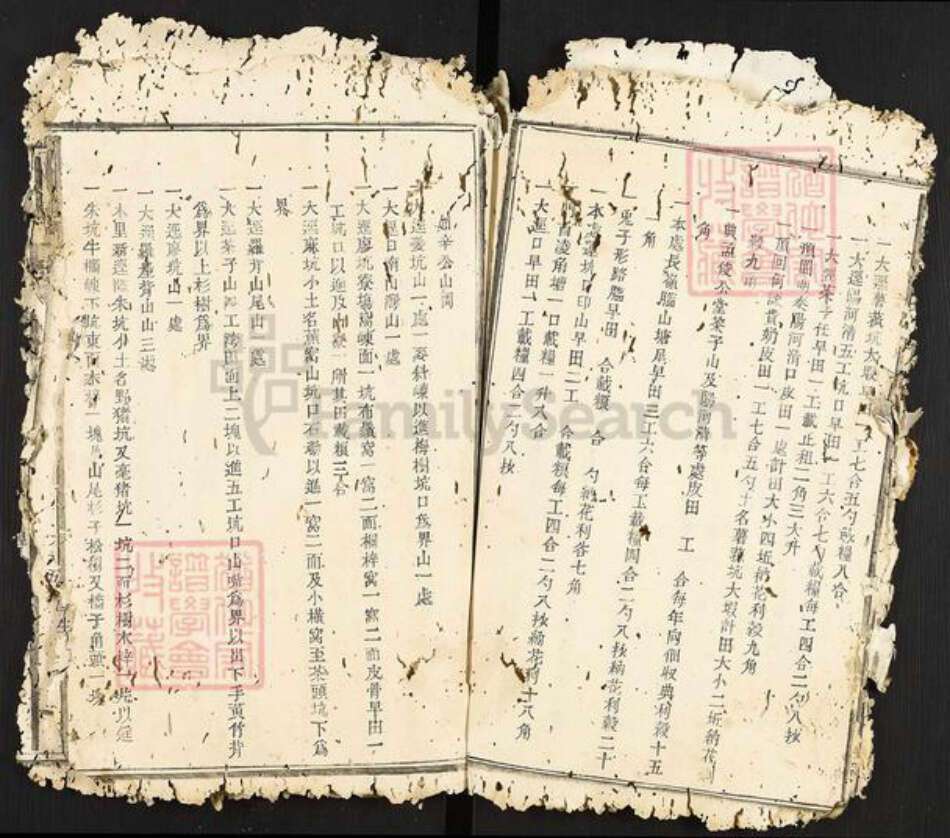 江西省南昌市南昌县武阳镇邹氏族谱-瑞金武阳邹氏族谱.pdf电子版预览图4