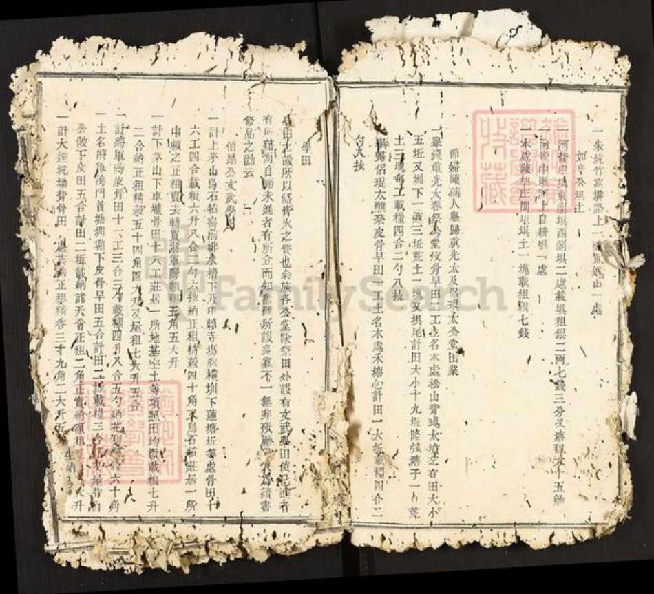 江西省南昌市南昌县武阳镇邹氏族谱-瑞金武阳邹氏族谱.pdf电子版预览图5