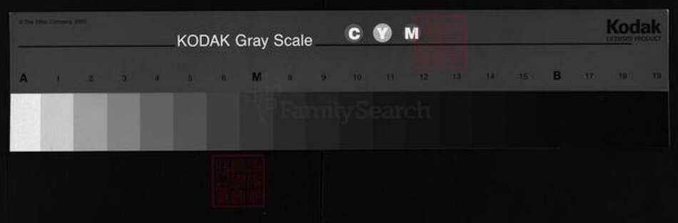 湖北省咸宁市蒲圻市江西省九江市修水县湖北省咸宁市嘉鱼县湖北省黄石市阳新县邹氏范阳堂族谱-邹氏宗谱.pdf电子版缩略图