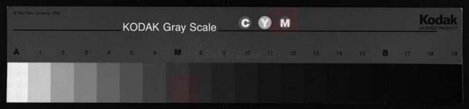 湖北省黄冈市黄州区邹氏东鲁堂族谱-邹氏宗谱 [10卷].pdf电子版缩略图