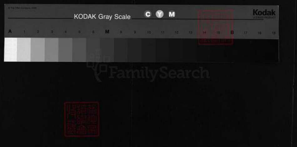 四川省资阳市安岳县邹氏族谱-增补续编邹氏族谱.pdf电子版缩略图