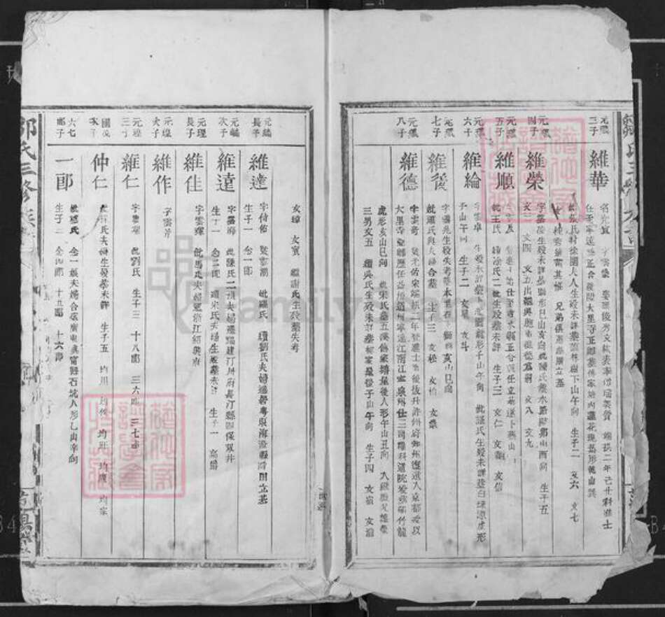 江西省赣州市瑞金市武阳镇邹氏范阳堂族谱-邹氏三修族谱.pdf电子版预览图2