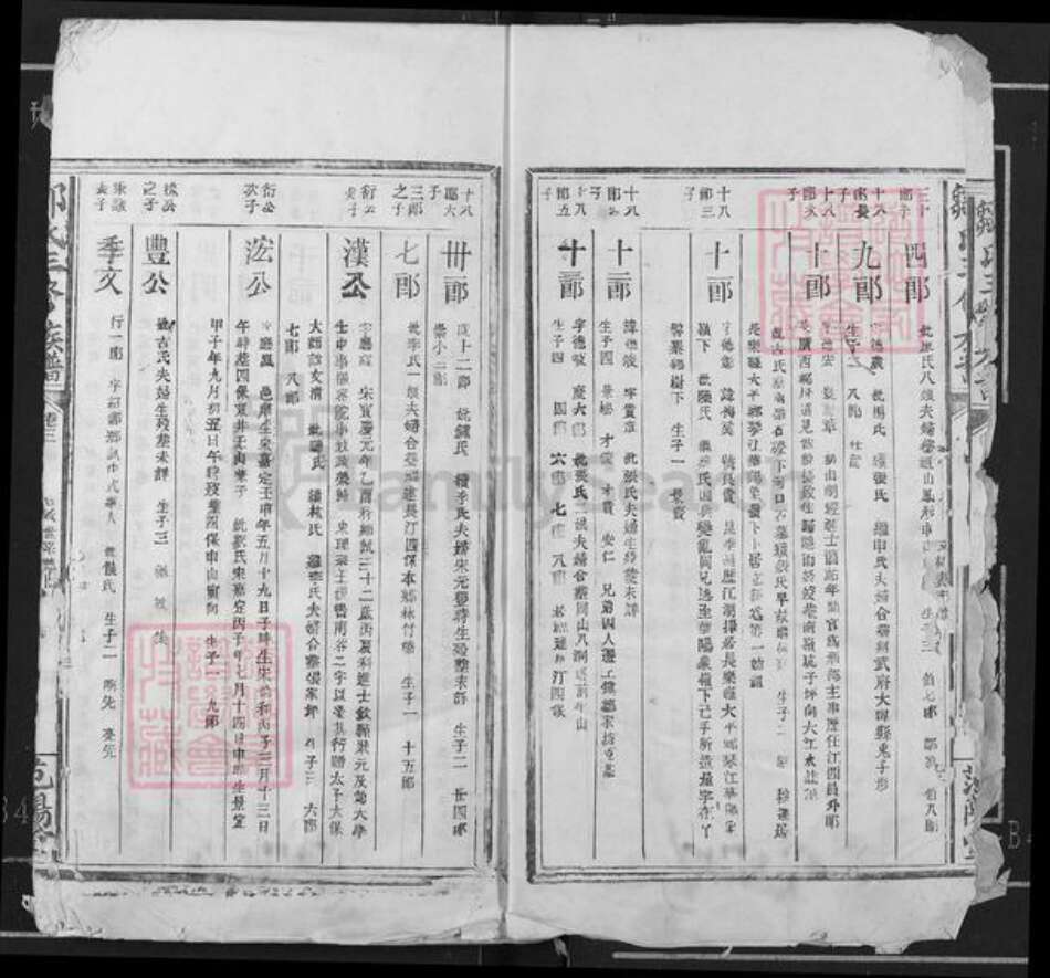 江西省赣州市瑞金市武阳镇邹氏范阳堂族谱-邹氏三修族谱.pdf电子版预览图3