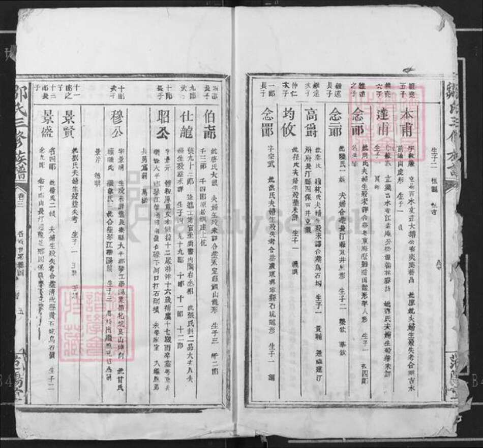 江西省赣州市瑞金市武阳镇邹氏范阳堂族谱-邹氏三修族谱.pdf电子版预览图5