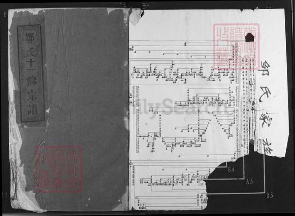 江西省抚州市临川区邹氏族谱-邹氏十一修宗谱.pdf电子版预览图1