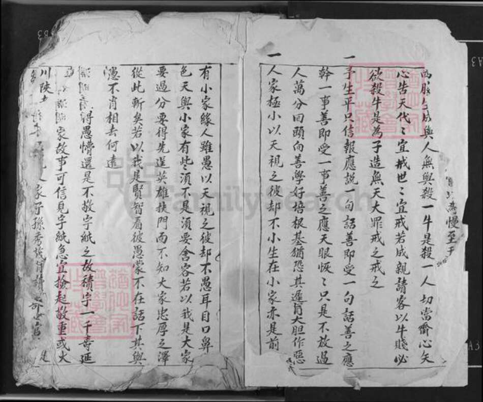 江西省吉安市吉水县双村镇邹氏族谱-邹氏草谱.pdf电子版预览图2