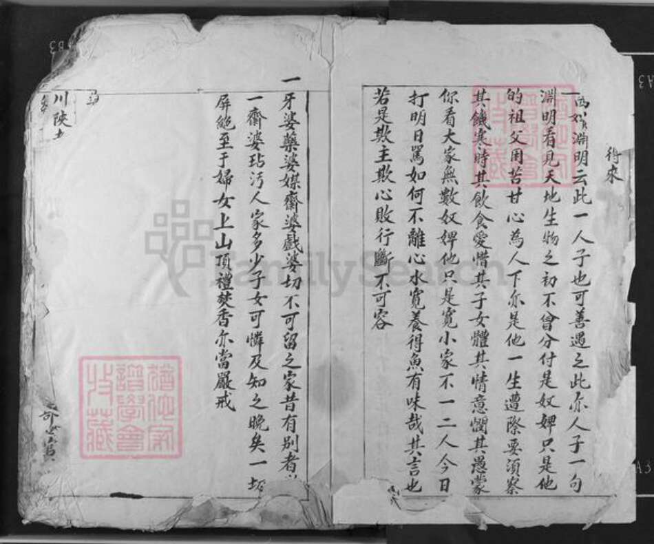 江西省吉安市吉水县双村镇邹氏族谱-邹氏草谱.pdf电子版预览图3