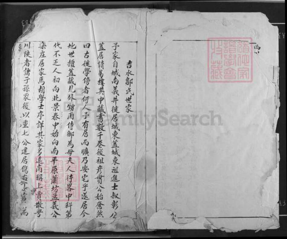 江西省吉安市吉水县双村镇邹氏族谱-邹氏草谱.pdf电子版预览图4