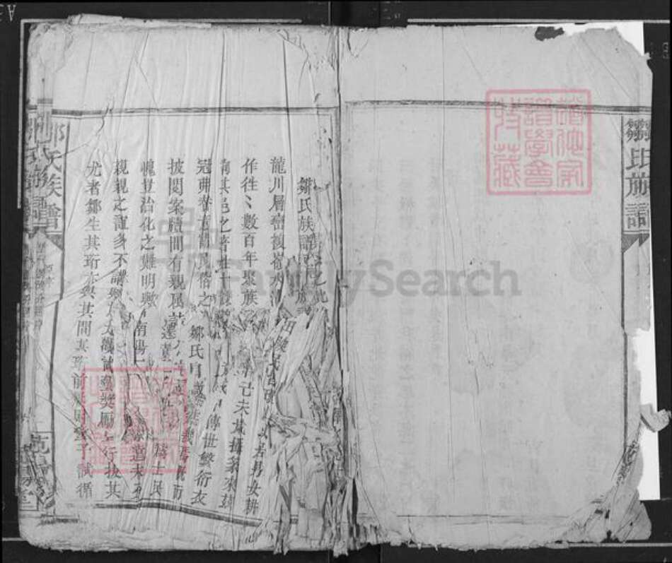 江西省吉安市遂川县泉江镇邹氏范阳堂族谱-邹氏族谱.pdf电子版预览图3