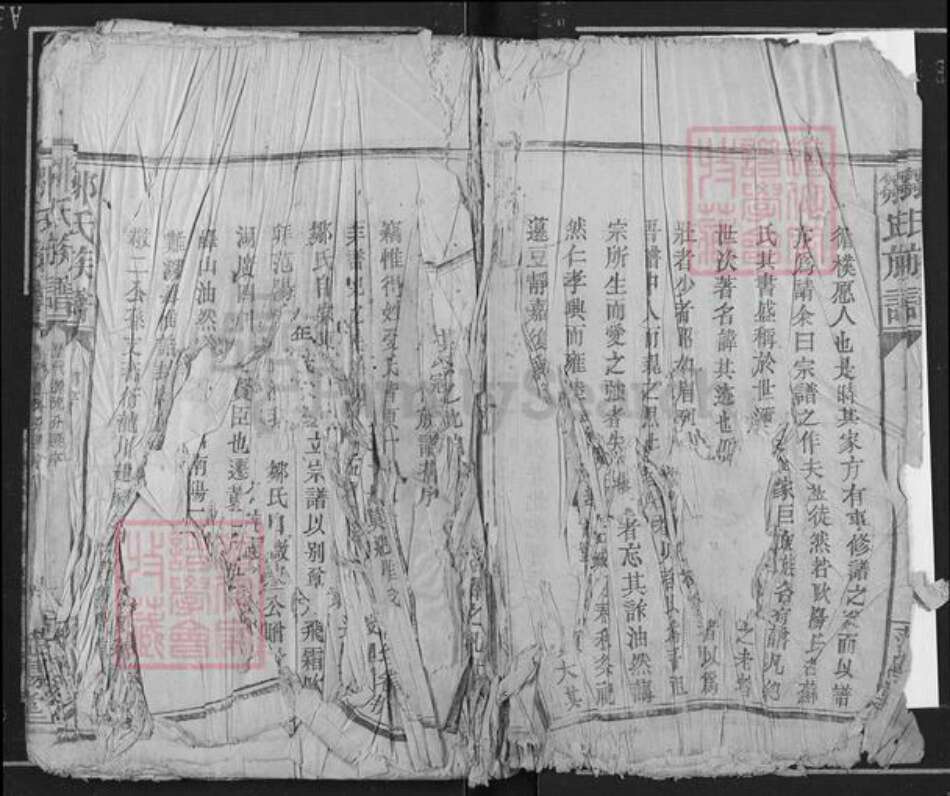 江西省吉安市遂川县泉江镇邹氏范阳堂族谱-邹氏族谱.pdf电子版预览图4