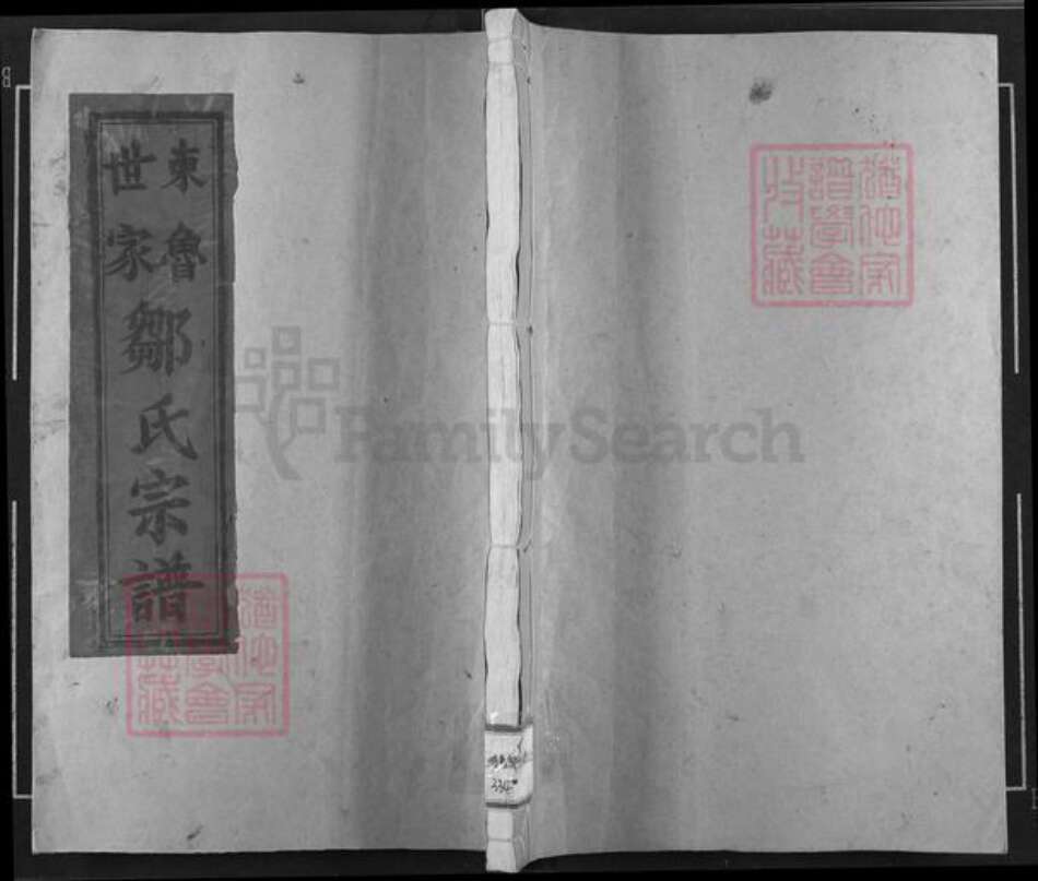 江西省宜春市高安市蓝坊镇邹氏东鲁堂族谱-东鲁世家邹氏宗谱.pdf电子版缩略图