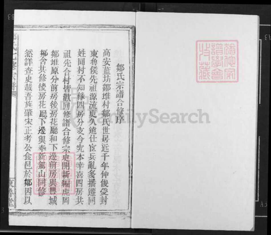 江西省宜春市高安市蓝坊镇邹氏东鲁堂族谱-东鲁世家邹氏宗谱.pdf电子版预览图1