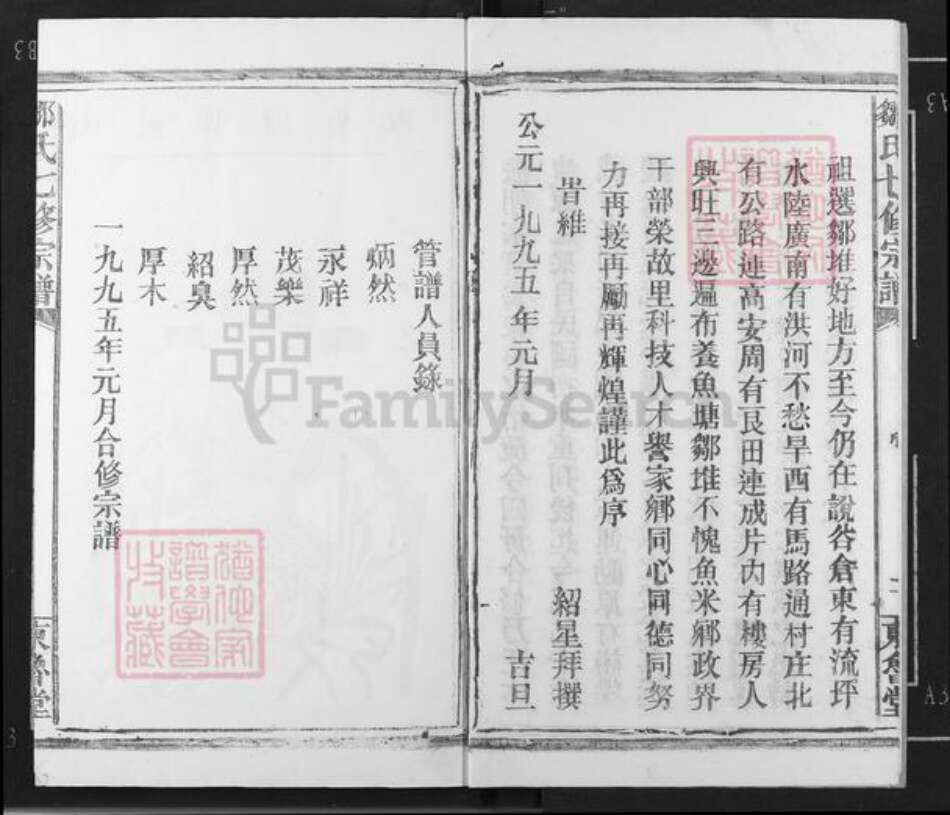 江西省宜春市高安市蓝坊镇邹氏东鲁堂族谱-东鲁世家邹氏宗谱.pdf电子版预览图3