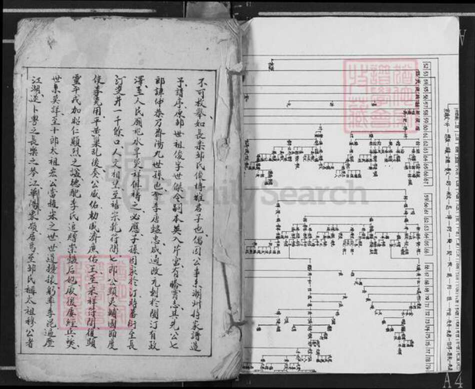 广东省梅州市五华县华阳镇邹氏族谱-邹氏宗谱.pdf电子版预览图1