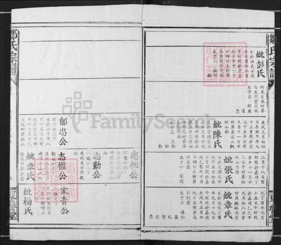 湖北省咸宁市咸安区大幕乡邹氏东鲁堂族谱-邹氏宗谱.pdf电子版预览图2