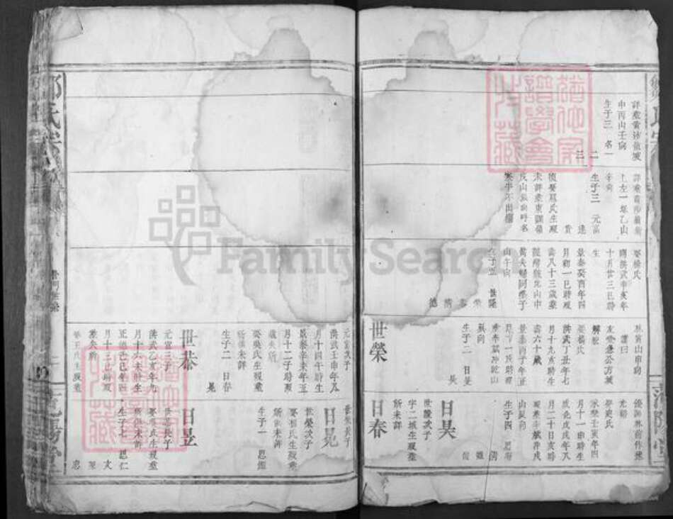 湖北省咸宁市崇阳县邹氏范阳堂族谱-邹氏宗谱.pdf电子版预览图2