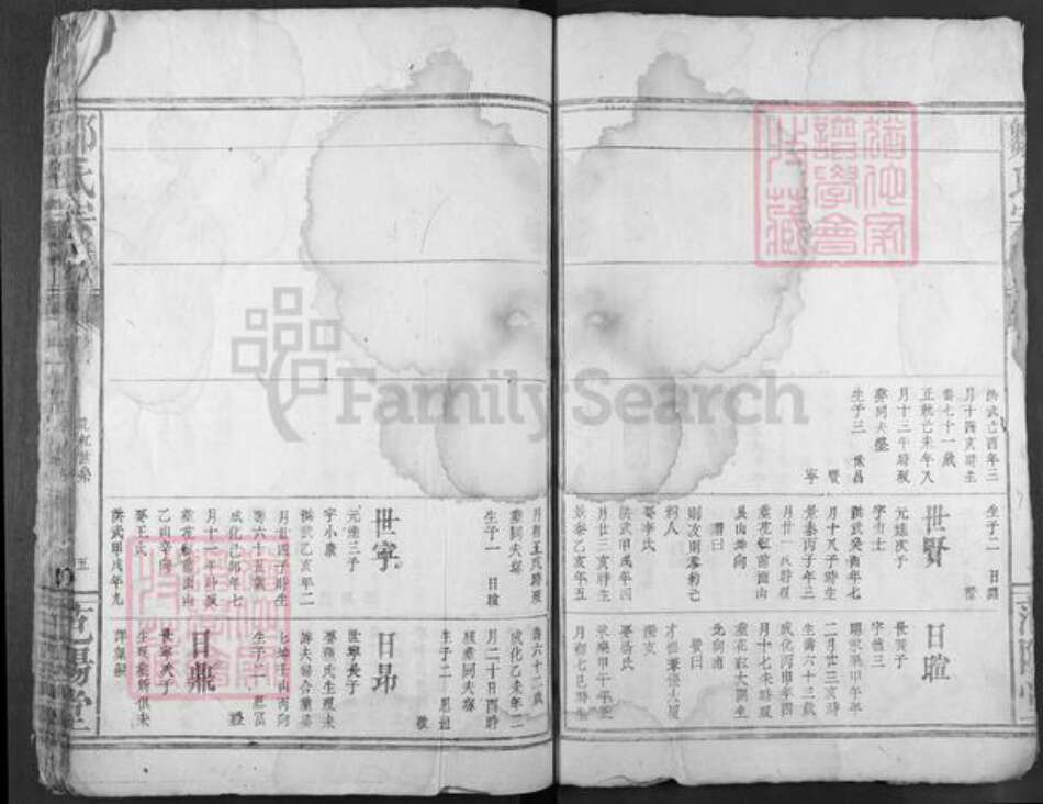 湖北省咸宁市崇阳县邹氏范阳堂族谱-邹氏宗谱.pdf电子版预览图3