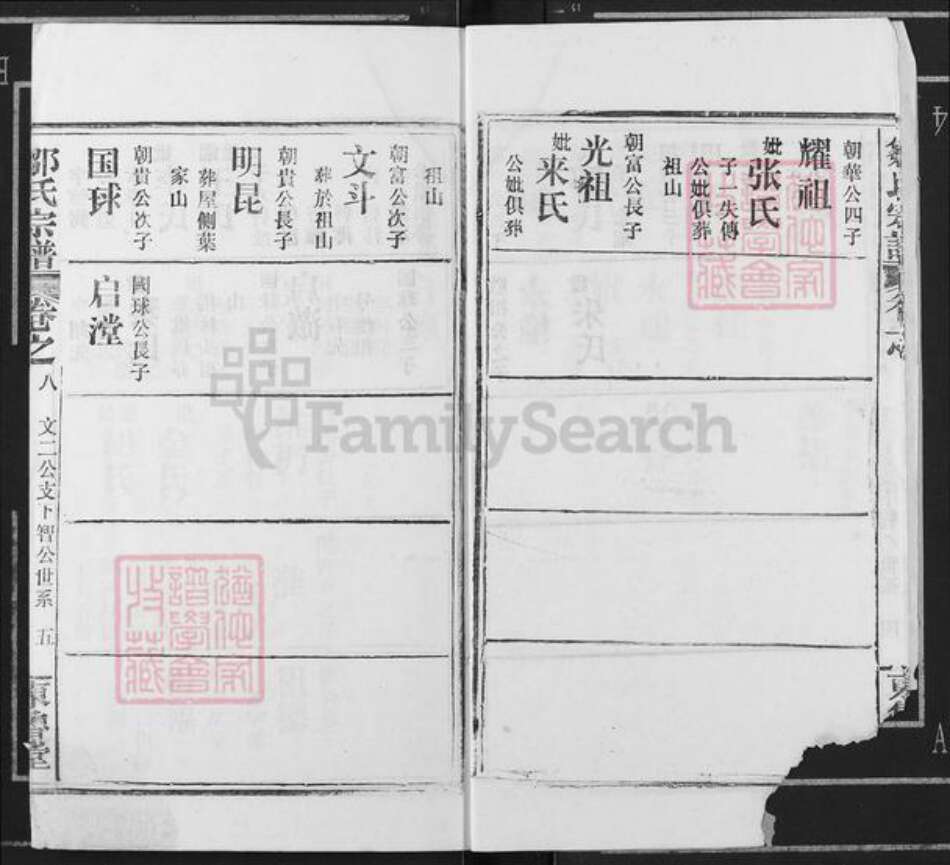 湖北省鄂州市邹氏东鲁堂族谱-邹氏宗谱.pdf电子版预览图5