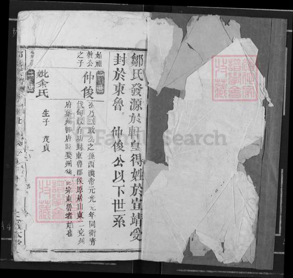 山东省济宁市兖州区邹氏敦本堂族谱-邹氏宗谱.pdf电子版预览图1