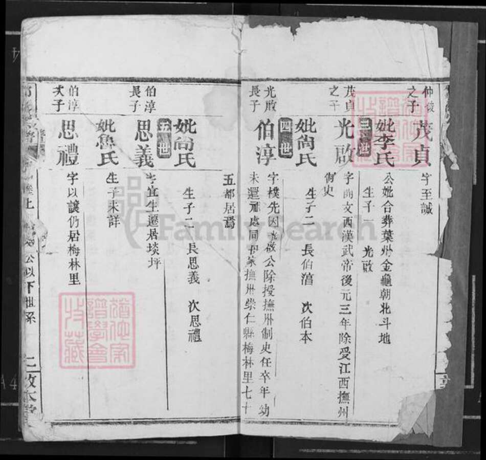 山东省济宁市兖州区邹氏敦本堂族谱-邹氏宗谱.pdf电子版预览图2