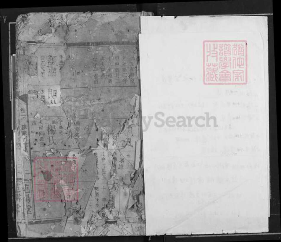 湖南省岳阳市临湘市临湘邹氏范阳堂族谱-邹氏族谱.湖南省岳阳临湘市乘风乡陈家湖支谱.pdf电子版预览图2