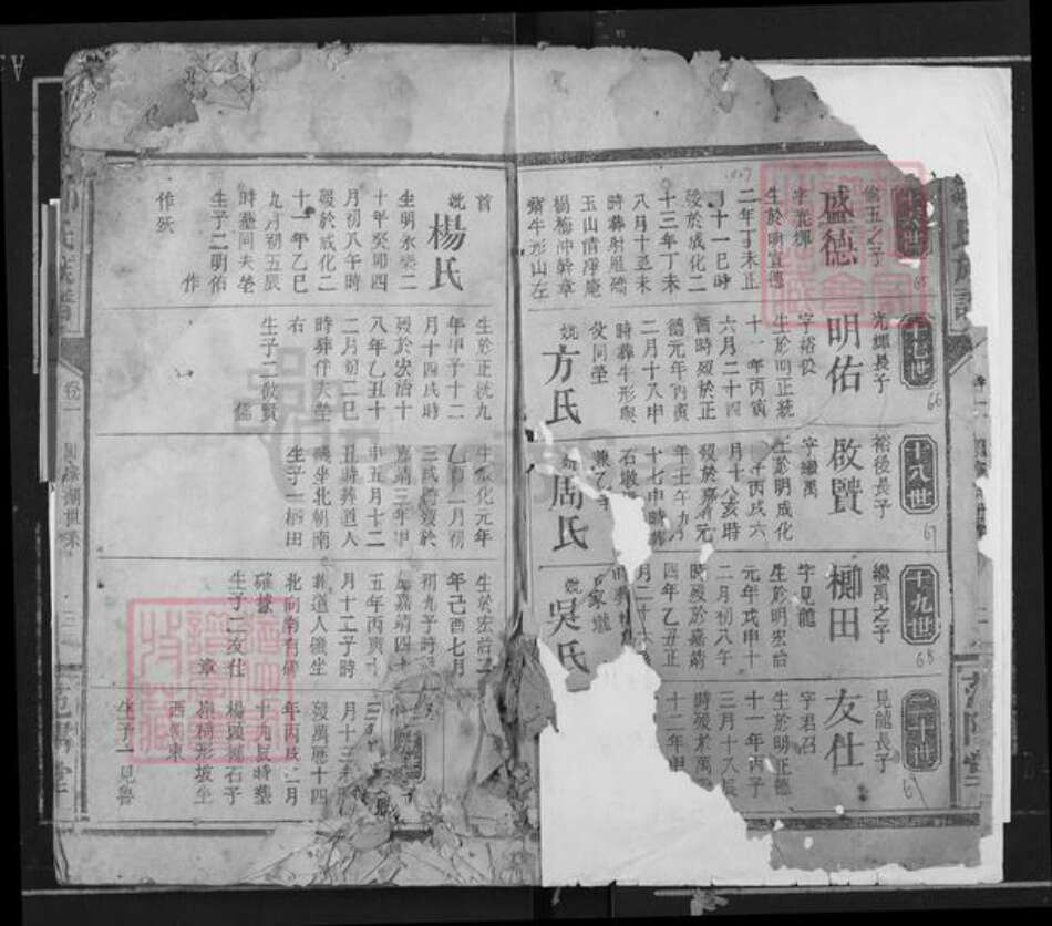 湖南省岳阳市临湘市临湘邹氏范阳堂族谱-邹氏族谱.湖南省岳阳临湘市乘风乡陈家湖支谱.pdf电子版预览图3