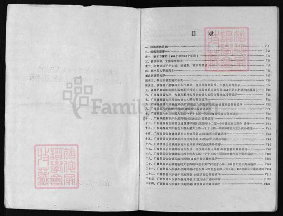 广东省揭西县龙川县五华县梧州广西昭平钟山贺县邹氏族谱-邹氏族谱 [不分卷].pdf电子版预览图2