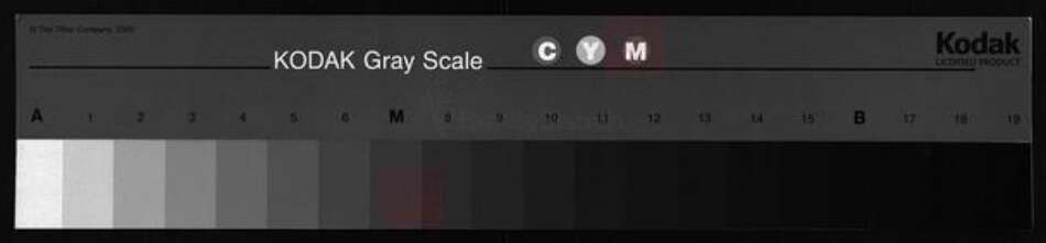 湖北省荆州市洪湖市湖北省荆州市监利县邹氏范阳堂族谱-邹氏族谱 [残卷].pdf电子版缩略图